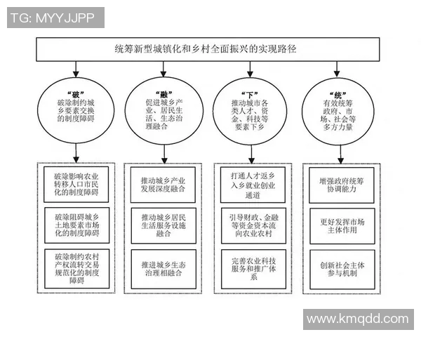 北京羽毛球队运营分析:成功经验与面临挑战的全面探讨 北京羽毛球队运营分析:成功经验与面临挑战的全面探讨