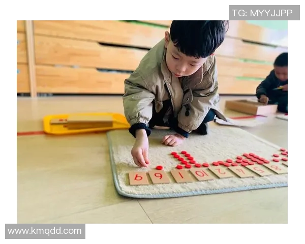 王磊乒乓球人生的深度对话与成长之路探索 王磊乒乓球人生的深度对话与成长之路探索